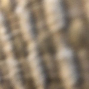 Meet your Posher, Adrian